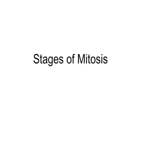Chapter 18 Cell Division Lesson 3 - Stages of mitosis