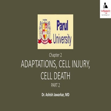 Ch 2 adaptations, cell injury, cell death