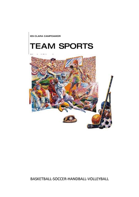 Team Sports 1º ESO Secciones