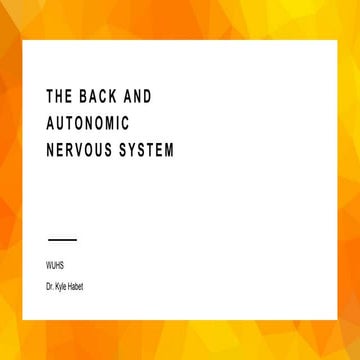 [3] The Back and ANS.pptx