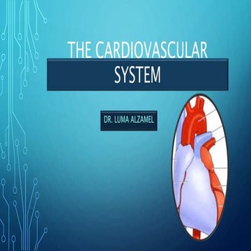 Anatomy Of The Heart | PPT