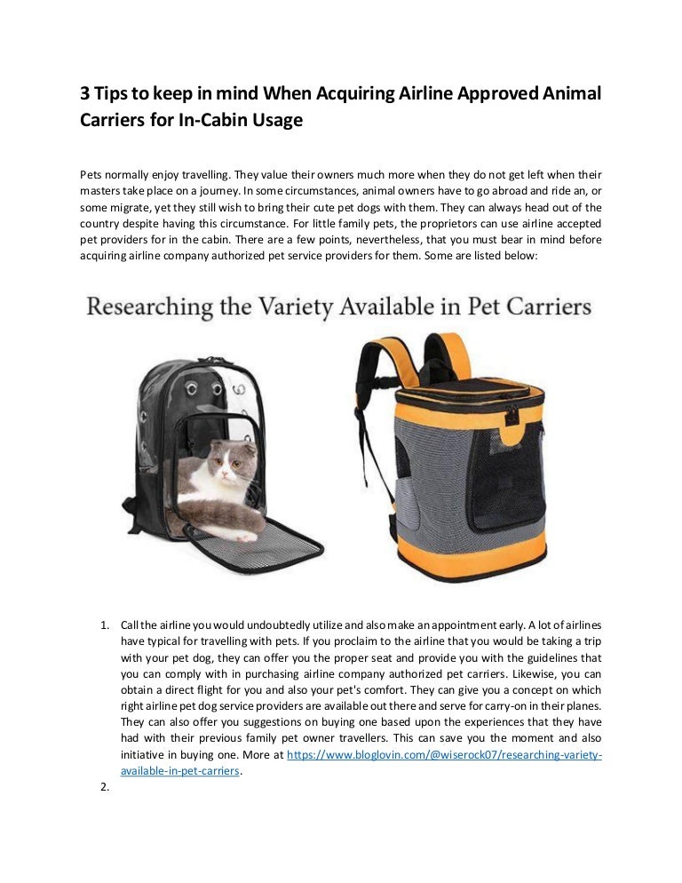 airline approved pet carriers in cabin