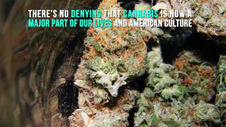 How To Keep Your Weed Fresh And Not Let It Dry Out