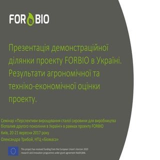 Презентація демонстраційної ділянки...