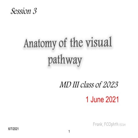 Visual Pathways Anatomy of human eye and anatomy.pdf