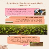 3 Ways To Improve Soil Fertility.pdf