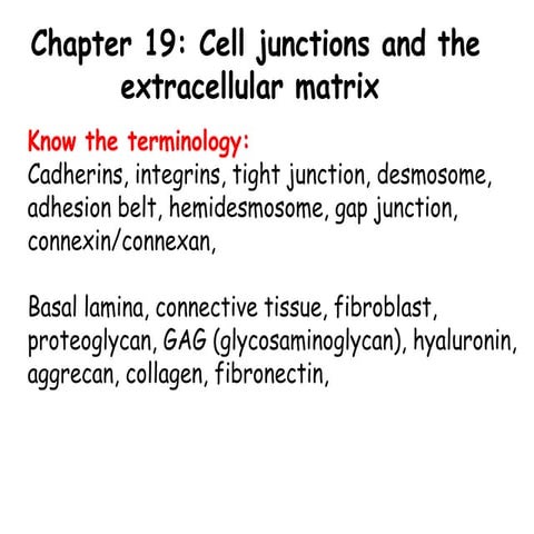 EXTRACELLULAR MATRIX AND ITS COMPONENTS | PPTX