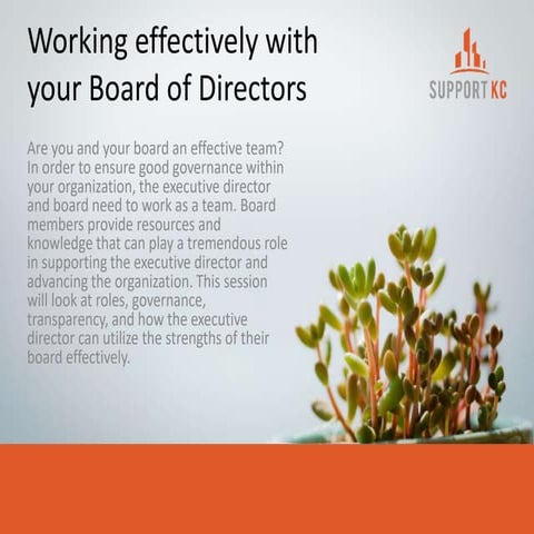 Working Effectively with your Board Slide Presentation.pptx