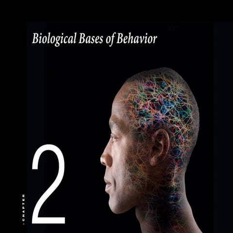 Psychology 101 Plotnik chapter02-v03