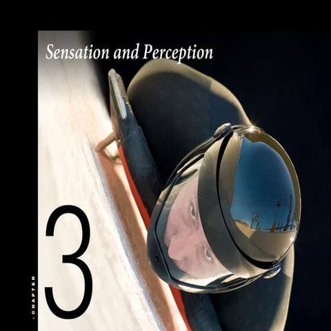 Psychology 101 Chapter 3