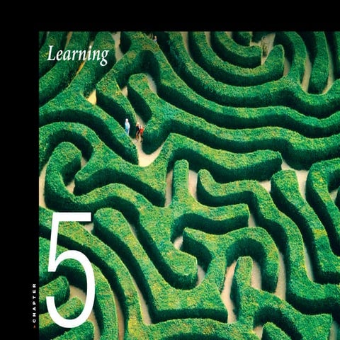 Psychology 101 Chapter 5 Learning