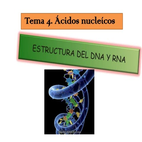 Acidos Nucleicos