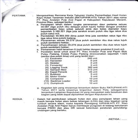 RKT 2011 RAPP DI PULAU PADANG HAL 1 | PDF