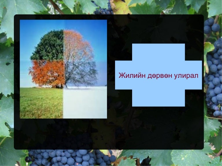 4 улирал