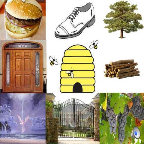 4.1 2013 brain studies