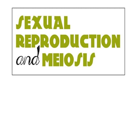 Sexual Reproduction & Meiosis 