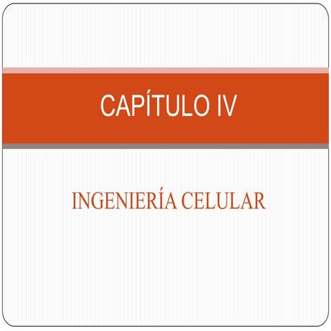 4.1 mitosis y meiosis priscila