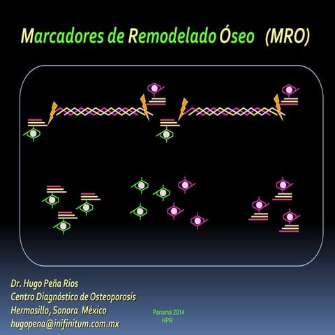 marcadores-de-remodelado-seo-pdf