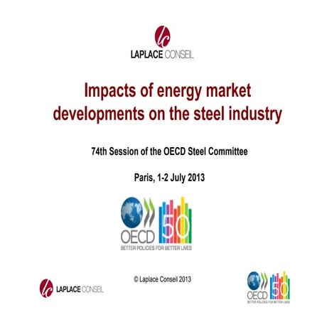 Impacts of energy developments on the steel industry by Marcel Genet Laplace ...