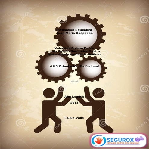 4.8.3 Orientación Profesional