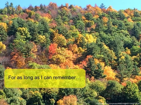 Brittany Kirby Personal Persona Project.