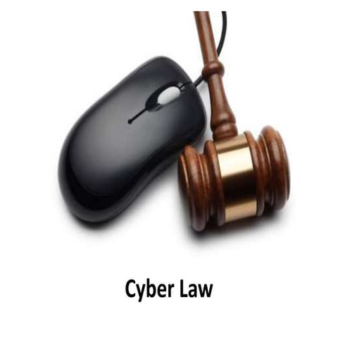 Cyber law - Legal Environment of Business - Business Law - Commercial Law - M...