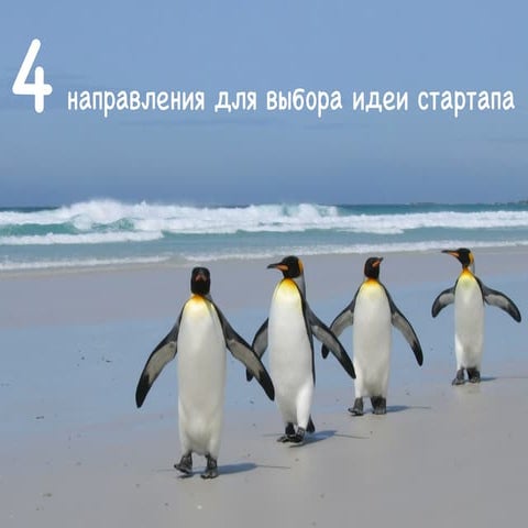 4 направления для выбора идеи стартапа