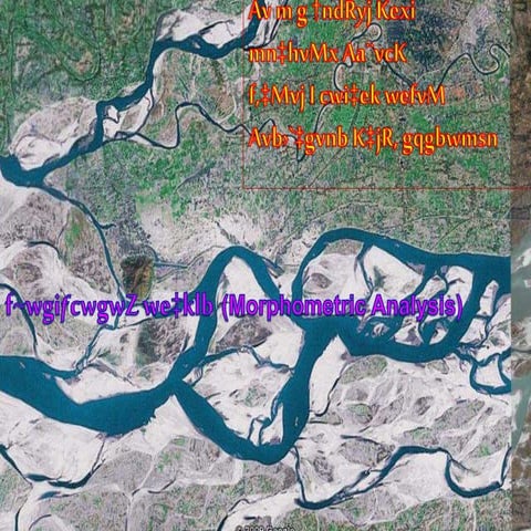 morphometric analysis