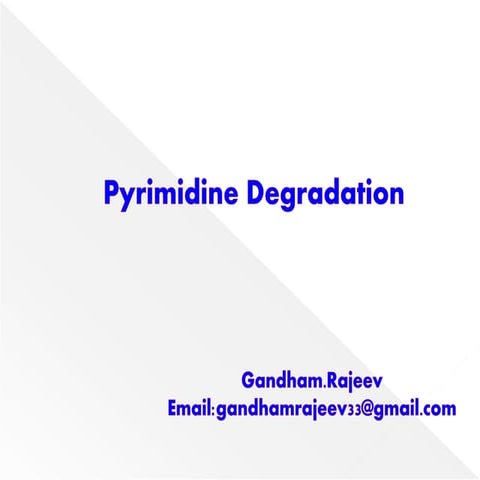 PYRIMIDINE DEGRADATION & DISORDERS