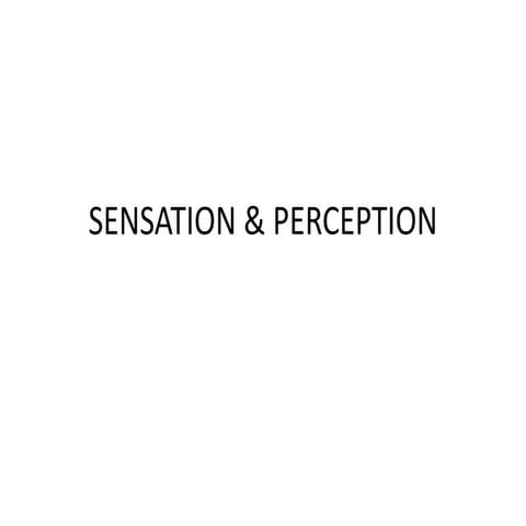 4. sensation & perception