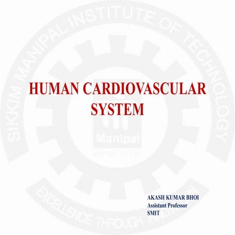Cardiovascular system