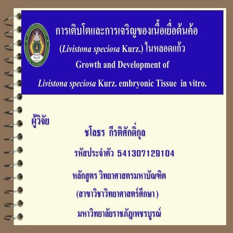 นำเสนอวิทยานิพนธ์ค้อ4