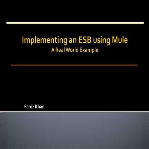 Implementing ESB
