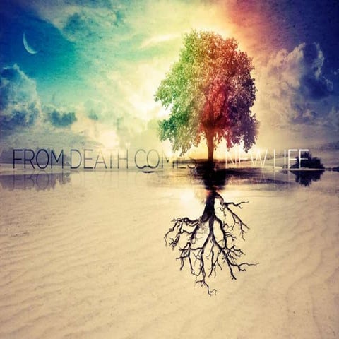 From Death Comes a New Life