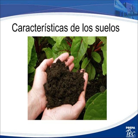 4.1 caracteristicas del suelo