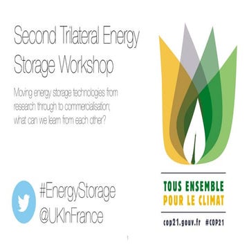 Energy Storage - 4: France Guillaume & Meheut Medde