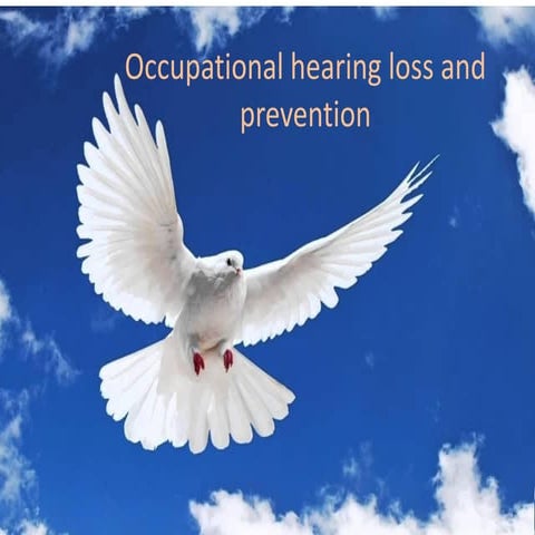 Managing  noise and preventing hearing loss, 