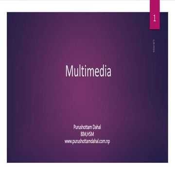 Multimedia