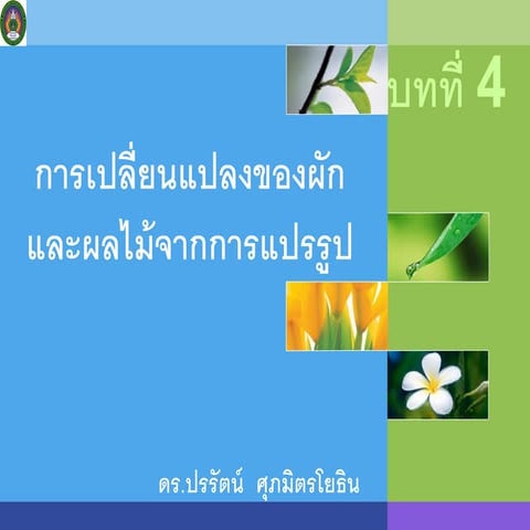 4 | PPT | Free Download