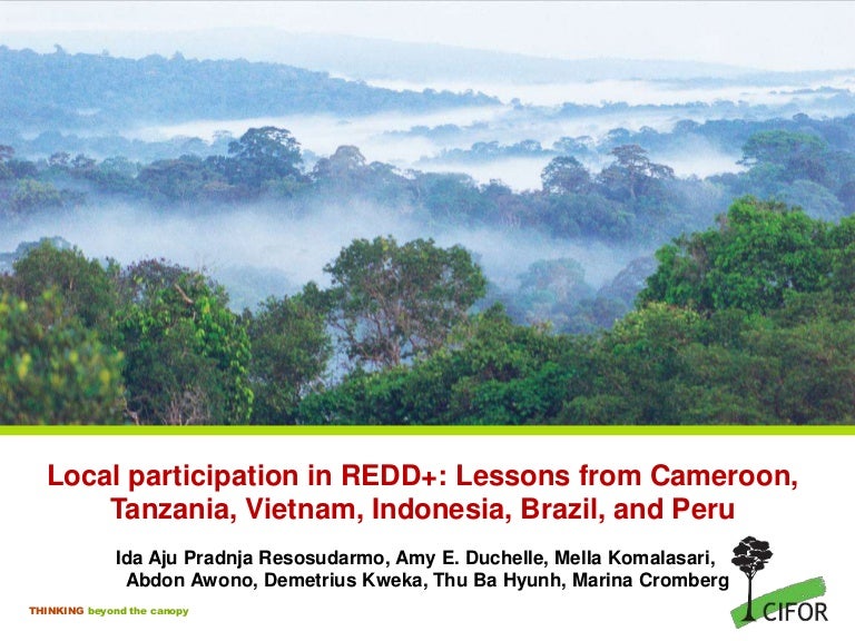 thumbnail of  Local participation in REDD+: Lessons from Cameroon, Tanzania, Vietnam, Indonesia, Brazil and Peru