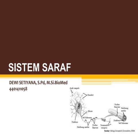 SISTEM SARAF