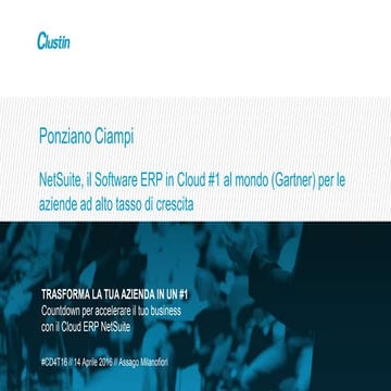 NetSuite Number1 -Ponziano Ciampi