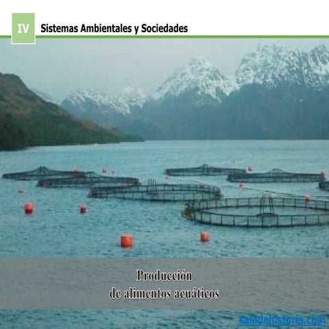 Sistemas de producción de alimentos acuáticos