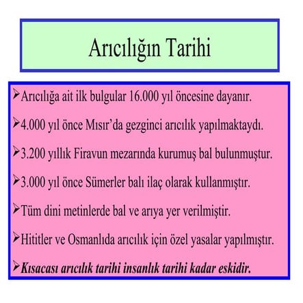 Arıcılığın Tarihi
