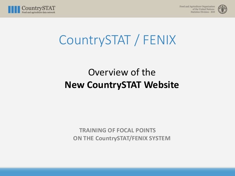 "FENIX System Overview"