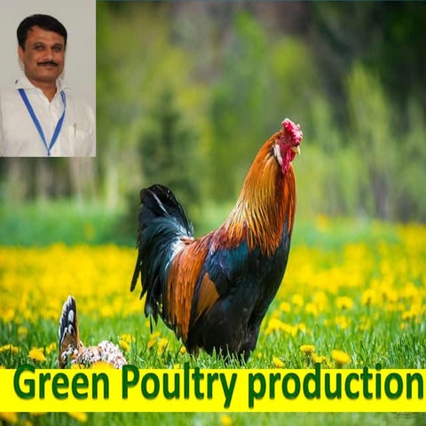 4. Green Poultry - Dr. P.S. Mahesh