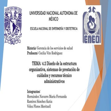 4.2. diseño de estructura organizativa