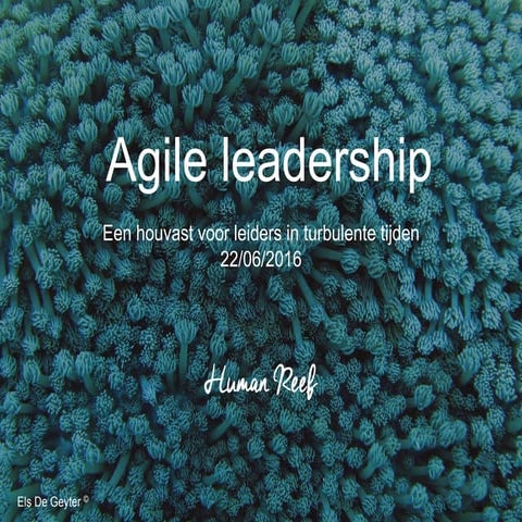 Els De Geyter - Human Reef