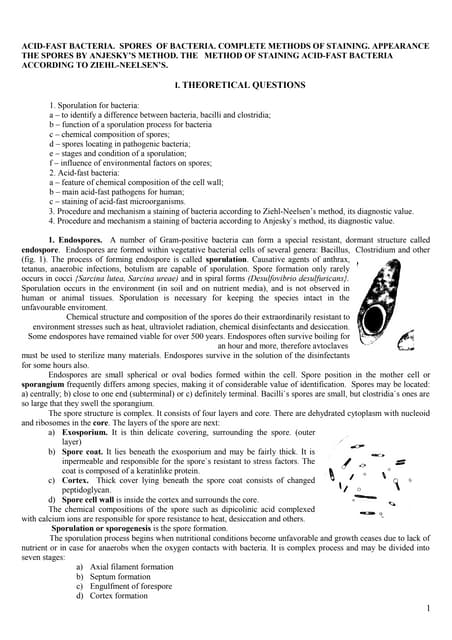 Acid-Fast Bacteria. Spores of Bacteria. Complete methods of staining