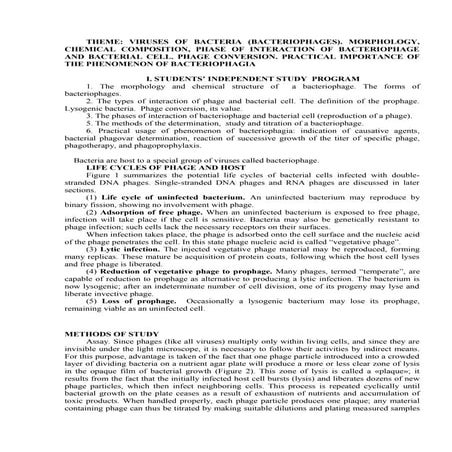 Viruses of Bacteria. Interaction of Bacteriophage & Bacterial Cell. Phage con...